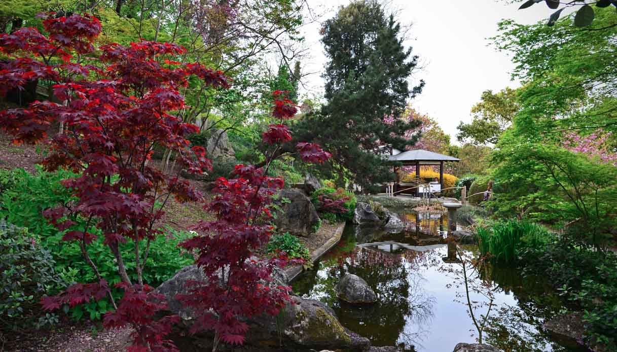 Orto botanico di Roma